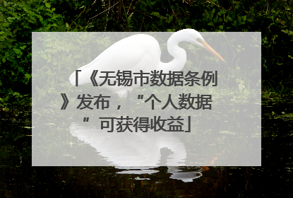 《无锡市数据条例》发布，“个人数据”可获得收益