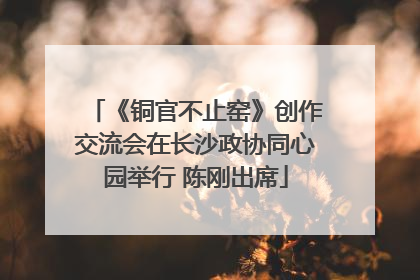 《铜官不止窑》创作交流会在长沙政协同心园举行 陈刚出席