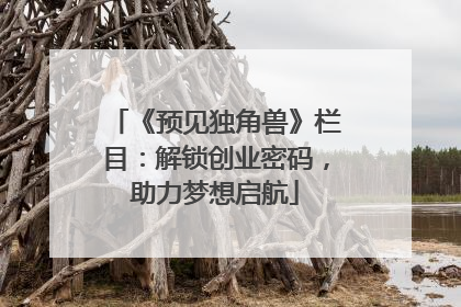 《预见独角兽》栏目：解锁创业密码，助力梦想启航