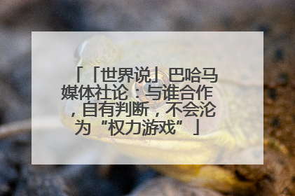 「世界说」巴哈马媒体社论：与谁合作，自有判断，不会沦为“权力游戏”