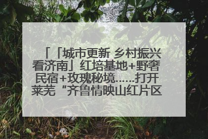 「城市更新 乡村振兴看济南」红培基地+野奢民宿+玫瑰秘境……打开莱芜“齐鲁情映山红片区”的破圈秘籍