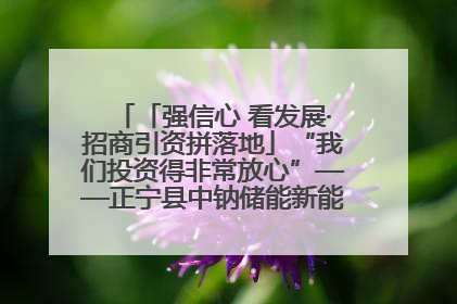 「强信心 看发展·招商引资拼落地」“我们投资得非常放心”——正宁县中钠储能新能源项目建设见闻