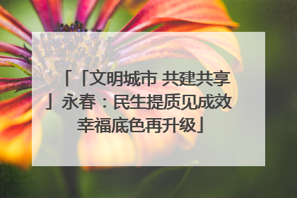 「文明城市 共建共享」永春：民生提质见成效 幸福底色再升级