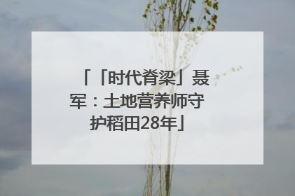 「时代脊梁」聂军：土地营养师守护稻田28年