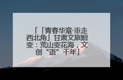 「青春华章·重走西北角」甘肃文旅嬗变：荒山变花海，文创“语”千年