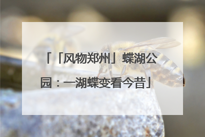 「风物郑州」蝶湖公园：一湖蝶变看今昔
