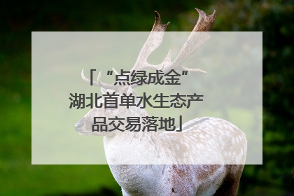 “点绿成金” 湖北首单水生态产品交易落地