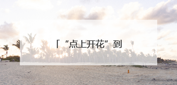 “点上开花”到“全域共美”