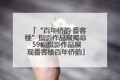 “百年侨韵·番客楼”摄影作品展揭幕 59幅摄影作品展现番客楼百年侨韵