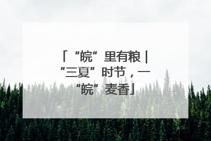 “皖”里有粮｜“三夏”时节，一“皖”麦香