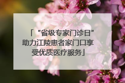 “省级专家门诊日”助力江陵患者家门口享受优质医疗服务