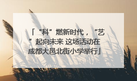 “科”燃新时代，“艺”起向未来 这场活动在成都大邑北街小学举行