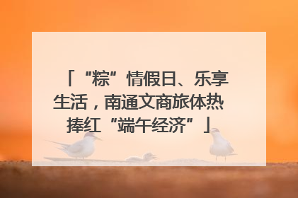 “粽”情假日、乐享生活，南通文商旅体热捧红“端午经济”