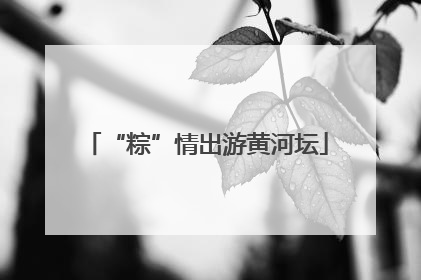 “粽”情出游黄河坛