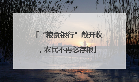 “粮食银行”敞开收，农民不再愁存粮