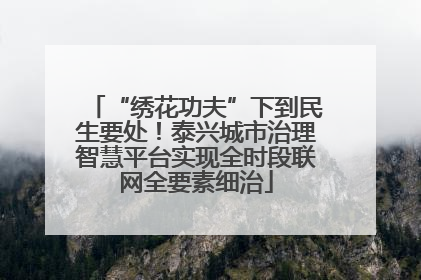 “绣花功夫”下到民生要处！泰兴城市治理智慧平台实现全时段联网全要素细治