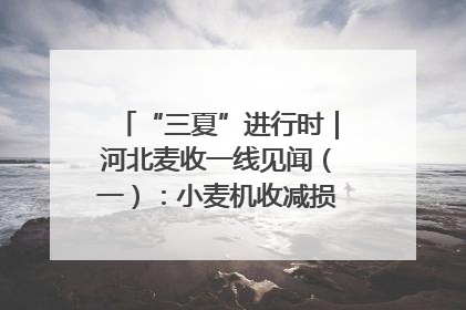 “三夏”进行时｜河北麦收一线见闻（一）：小麦机收减损“竞技” 农机高手麦田“过招”