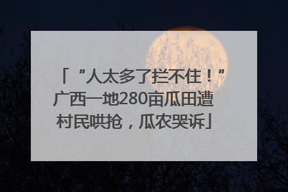 “人太多了拦不住！”广西一地280亩瓜田遭村民哄抢，瓜农哭诉
