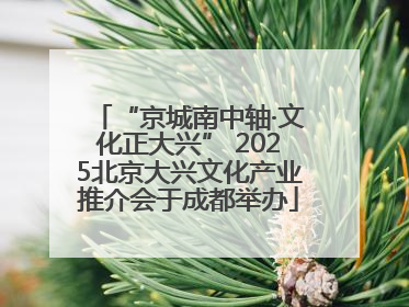 “京城南中轴·文化正大兴” 2025北京大兴文化产业推介会于成都举办