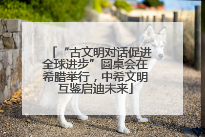 “古文明对话促进全球进步”圆桌会在希腊举行，中希文明互鉴启迪未来