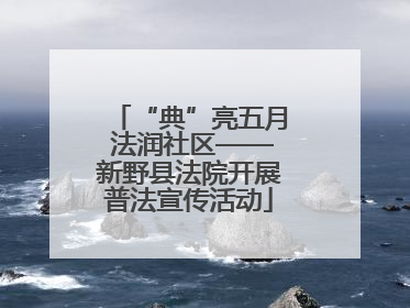 “典”亮五月 法润社区——新野县法院开展普法宣传活动