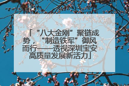 “八大金刚”聚链成势，“制造铁军”御风而行——透视深圳宝安高质量发展新活力