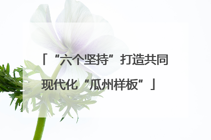 “六个坚持”打造共同现代化“瓜州样板”