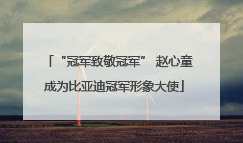 “冠军致敬冠军” 赵心童成为比亚迪冠军形象大使