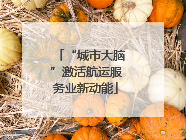 “城市大脑”激活航运服务业新动能