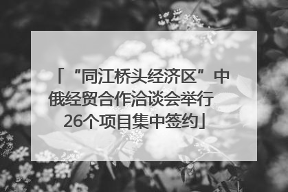 “同江桥头经济区”中俄经贸合作洽谈会举行 26个项目集中签约