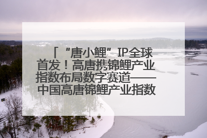“唐小鲤”IP全球首发！高唐携锦鲤产业指数布局数字赛道——中国高唐锦鲤产业指数暨“唐小鲤”IP全球首发仪式在杭州举行
