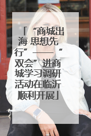 “商城出海 思想先行”——“双会”进商城学习调研活动在临沂顺利开展