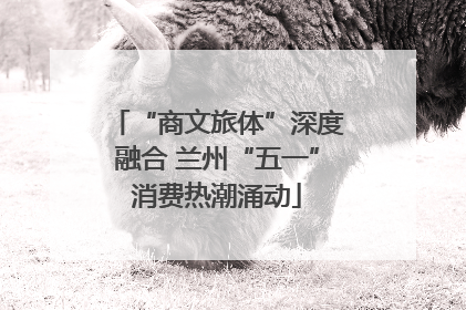 “商文旅体”深度融合 兰州“五一”消费热潮涌动