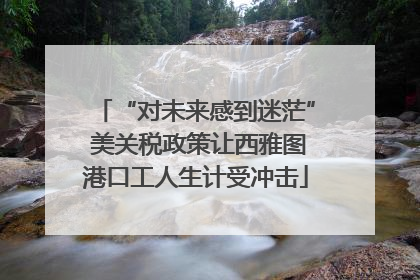 “对未来感到迷茫” 美关税政策让西雅图港口工人生计受冲击