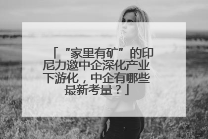 “家里有矿”的印尼力邀中企深化产业下游化，中企有哪些最新考量？