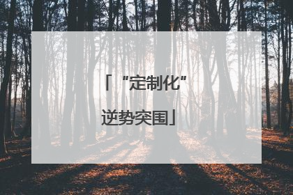 “定制化” 逆势突围
