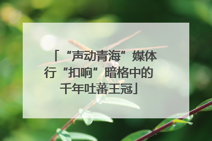 “声动青海”媒体行“扣响”暗格中的千年吐蕃王冠