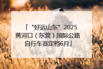 “好运山东”2025黄河口（东营）国际公路自行车赛定档6月