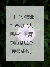 “小物业”牵动“大民生”！舞钢市基层治理显成效