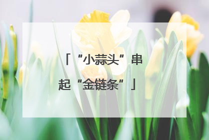 “小蒜头”串起“金链条”