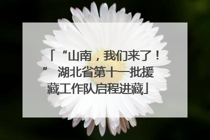 “山南，我们来了！” 湖北省第十一批援藏工作队启程进藏