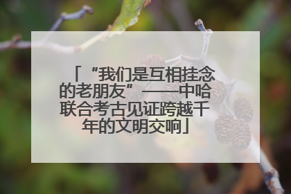 “我们是互相挂念的老朋友”——中哈联合考古见证跨越千年的文明交响