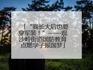 “我长大后也要穿军装！”——观沙岭街道国防教育点燃学子报国梦