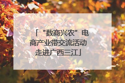 “数商兴农”电商产业带交流活动走进广西三江