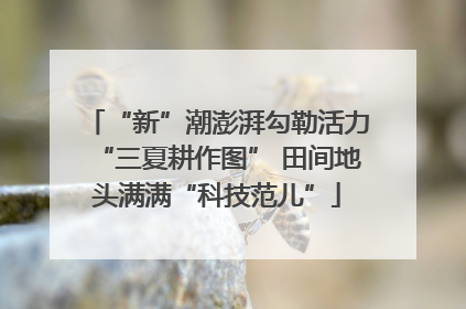 “新”潮澎湃勾勒活力“三夏耕作图” 田间地头满满“科技范儿”