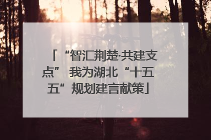 “智汇荆楚·共建支点” 我为湖北“十五五”规划建言献策