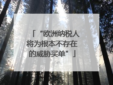 “欧洲纳税人将为根本不存在的威胁买单”