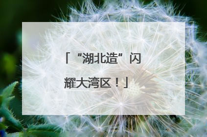 “湖北造”闪耀大湾区！