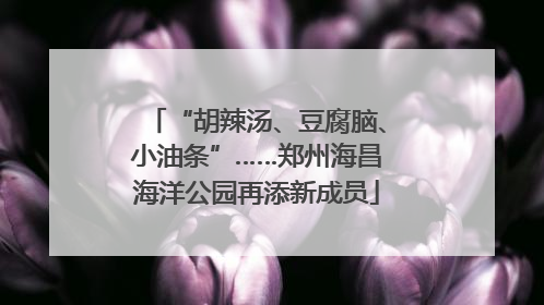 “胡辣汤、豆腐脑、小油条”……郑州海昌海洋公园再添新成员
