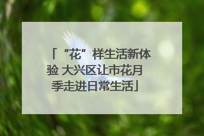 “花”样生活新体验 大兴区让市花月季走进日常生活